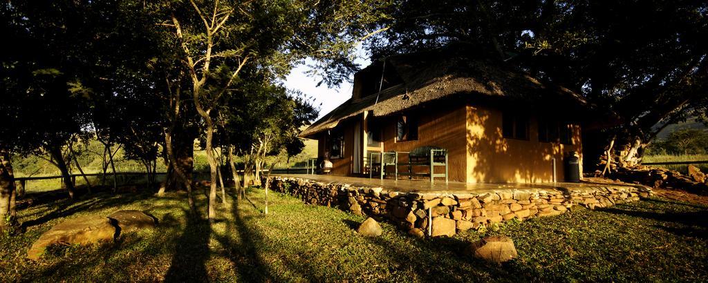 Caracal Lodge Alkmaar Rum bild