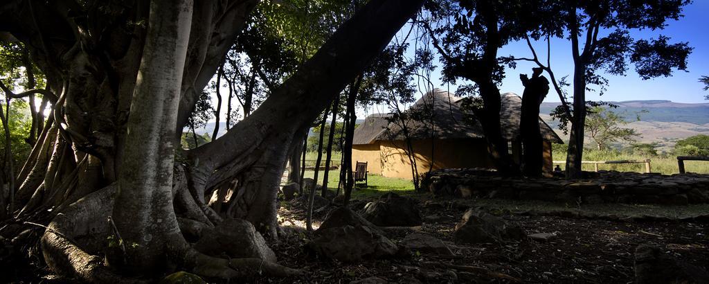 Caracal Lodge Alkmaar Rum bild