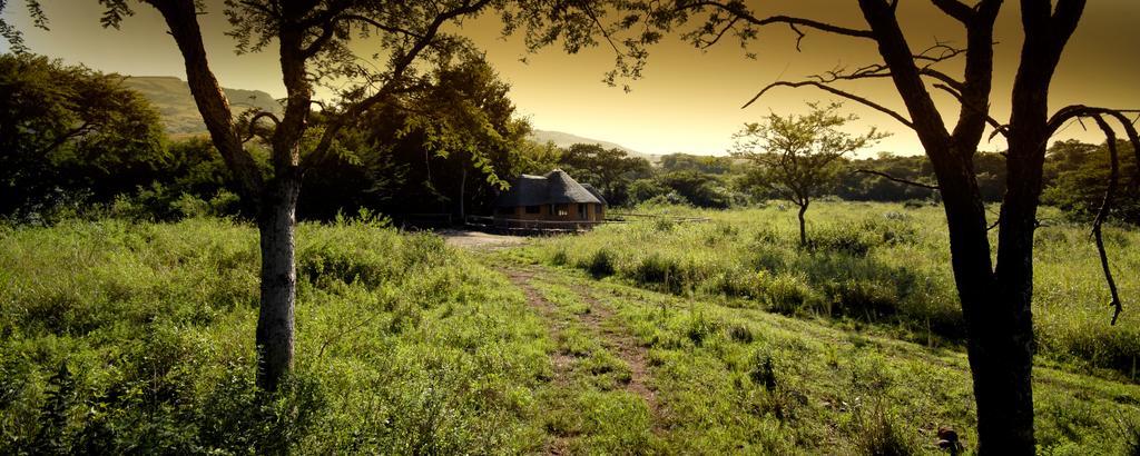 Caracal Lodge Alkmaar Rum bild