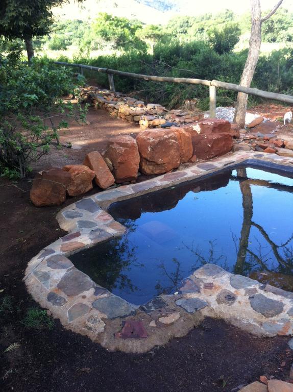 Caracal Lodge Alkmaar Rum bild
